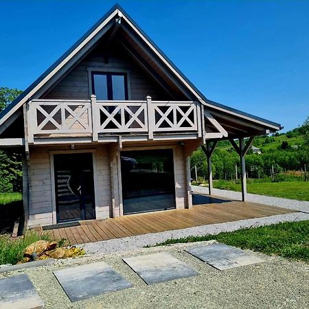Domek Pod Ostoja Gory Sowie Lomnica  Exterior foto