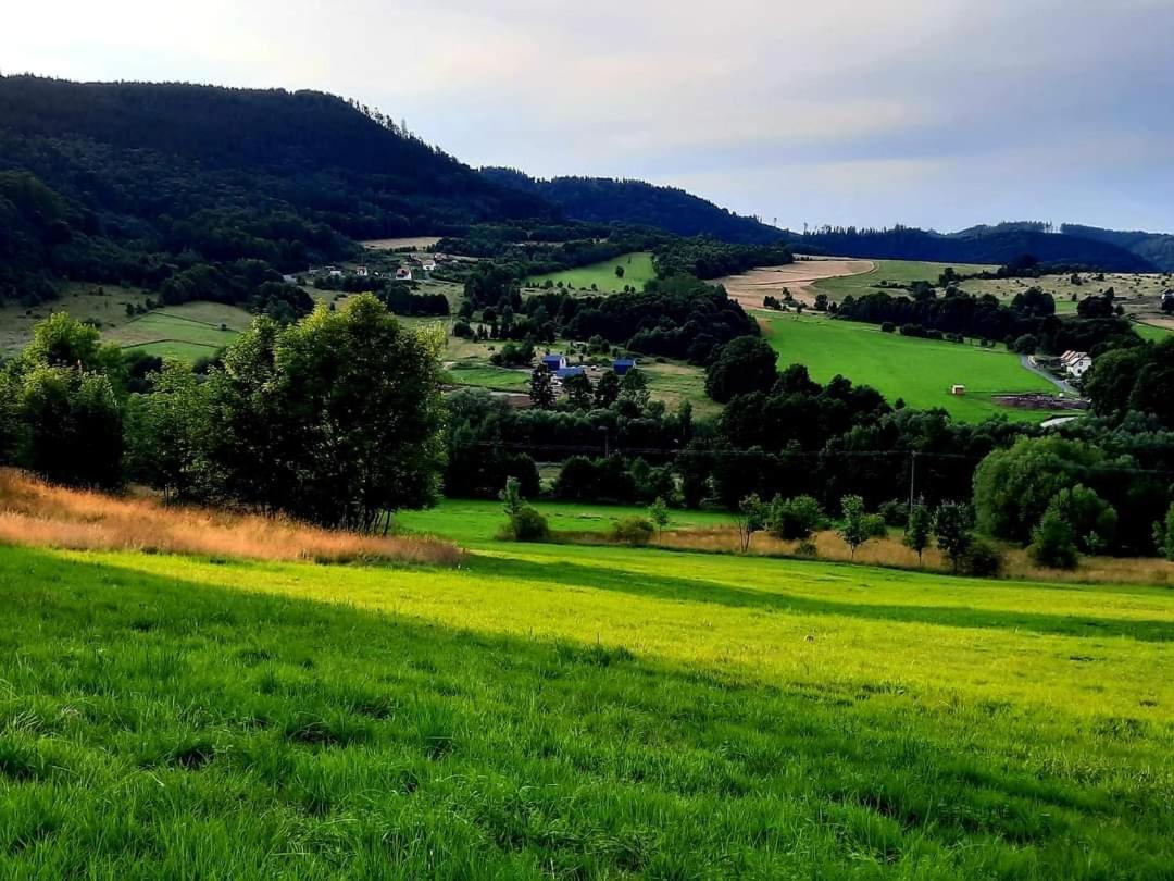 Domek Pod Ostoja Gory Sowie Lomnica  Exterior foto