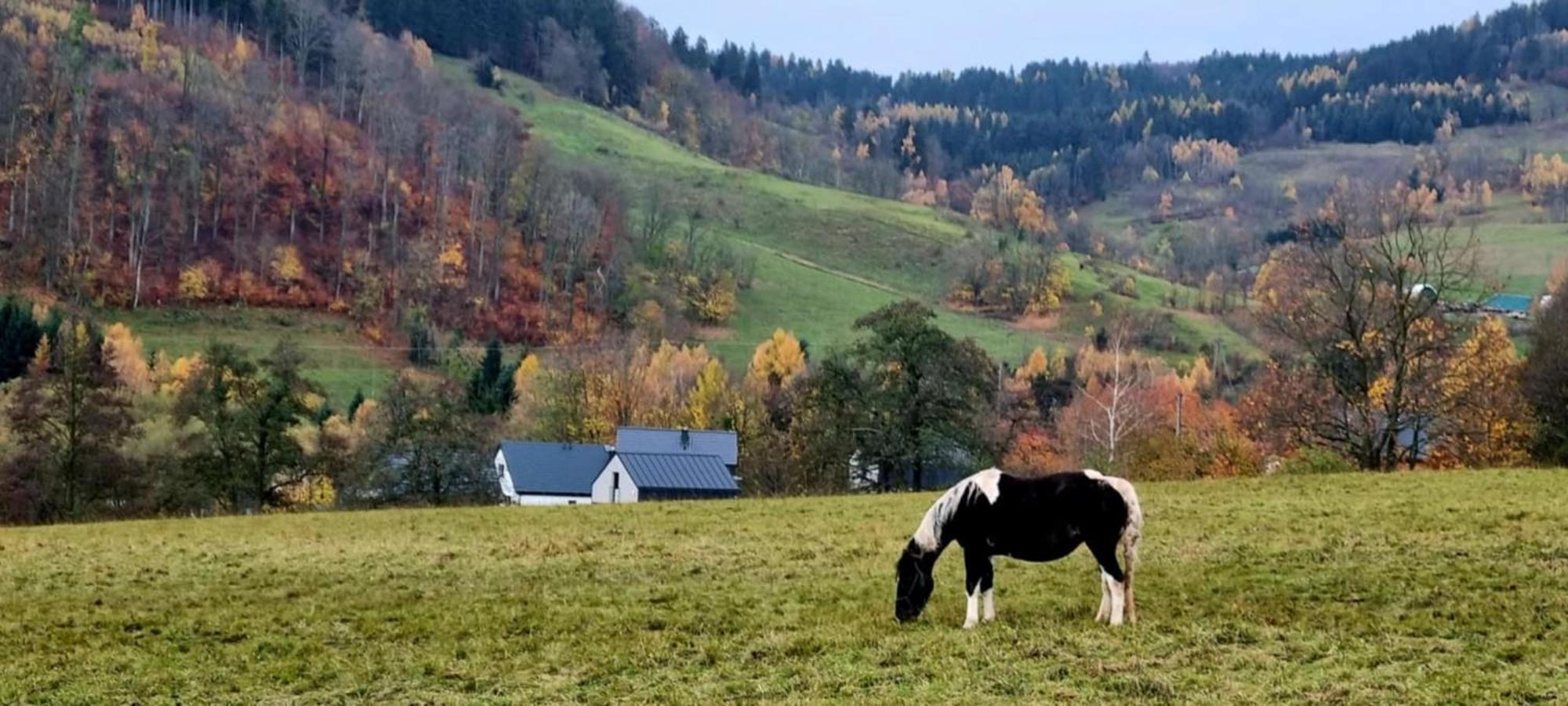 Domek Pod Ostoja Gory Sowie Lomnica  Exterior foto